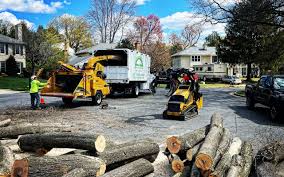 Best Firewood Processing and Delivery  in Norwalk, IA