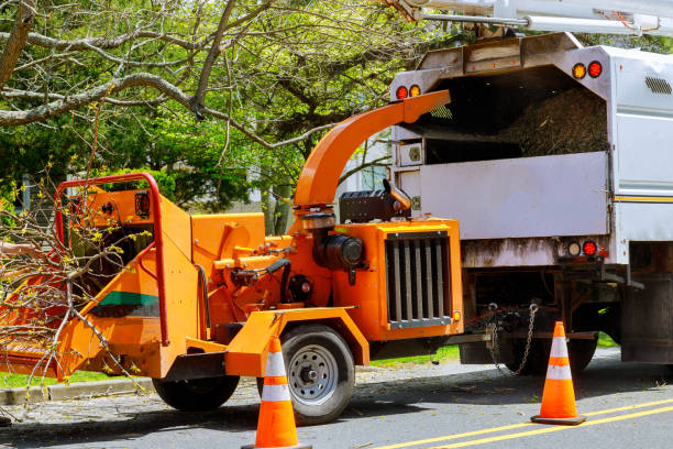 Best Utility Line Clearance  in Norwalk, IA